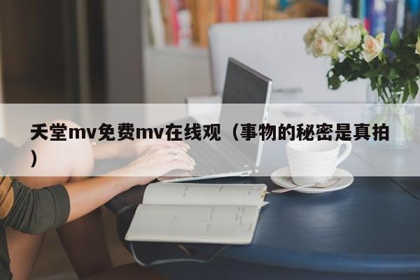 夭堂mv免费mv在线观(事物的秘密是真拍)
