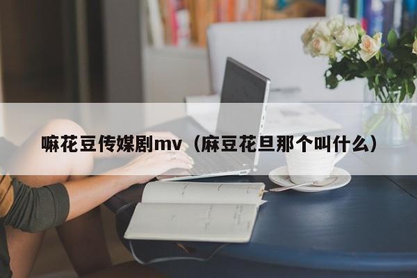 嘛花豆传媒剧mv(麻豆花旦那个叫什么)