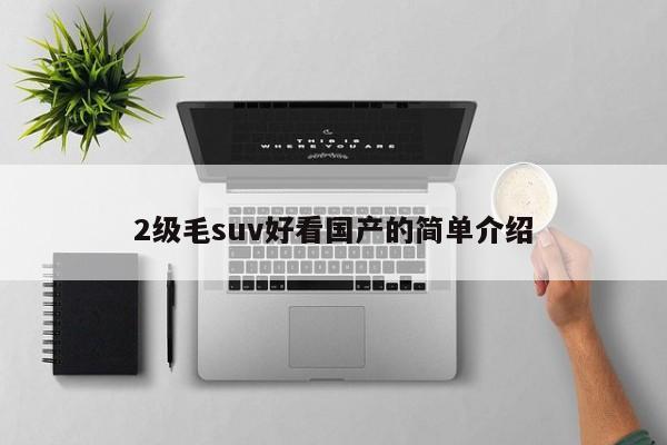 2级毛suv好看国产的简单介绍